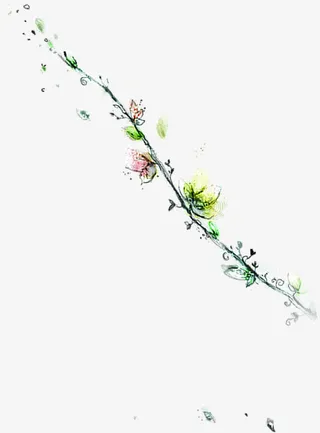 透明花朵在中间边框免抠