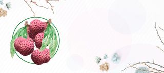 荔枝上市树枝文艺白色背景高清