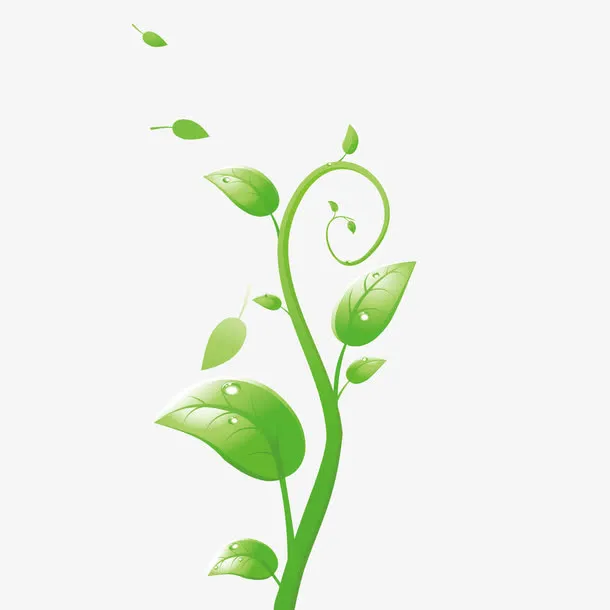 矢量绿色树叶藤蔓免抠