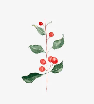 圣诞节手绘花纹素材免抠