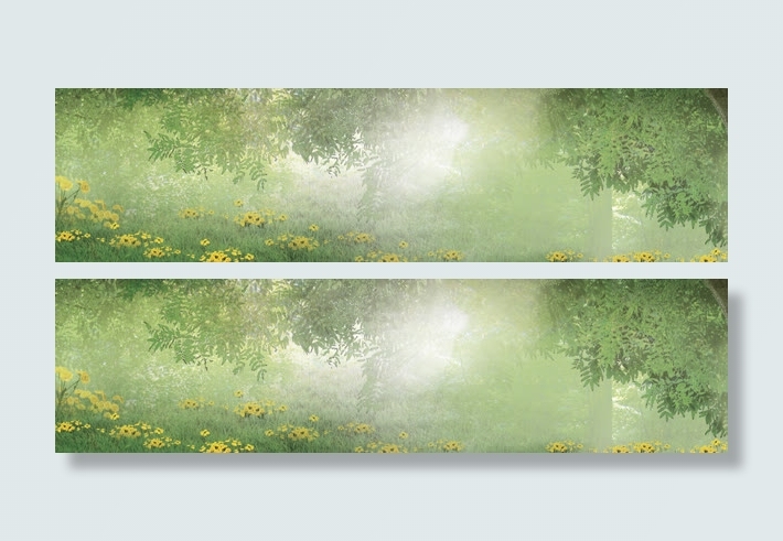 树林花朵背景