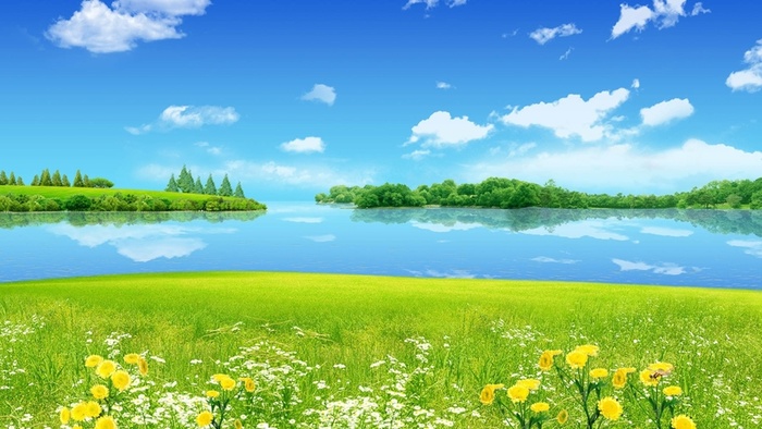 草地,背景,png,素材高清