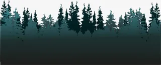 绿色冬日松树林阴影免抠