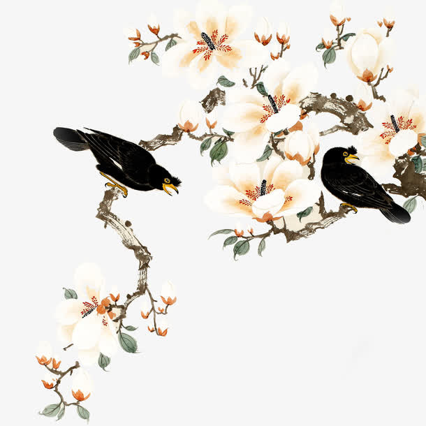 花鸟图免抠