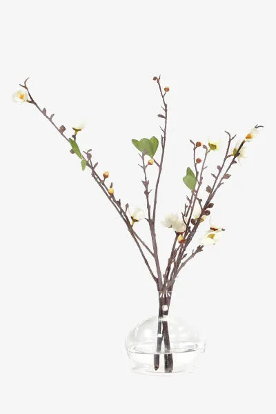 艺术插花花艺免抠