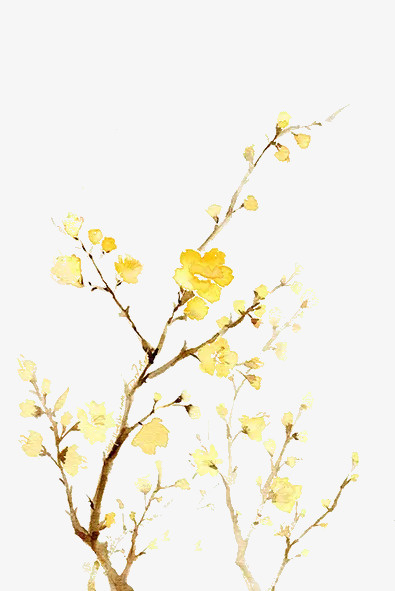 枝头的黄色花朵免抠