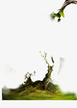 古树 树枝免抠