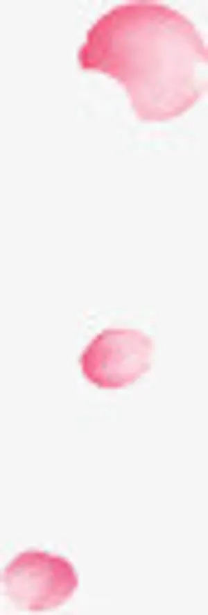 绚丽玫瑰花瓣素材免抠