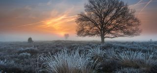 冬季草原淘宝海报背景banner高清