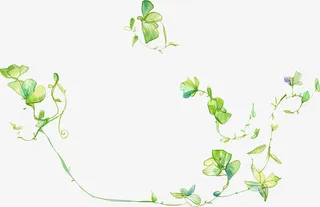 清新树叶手绘夏日免抠
