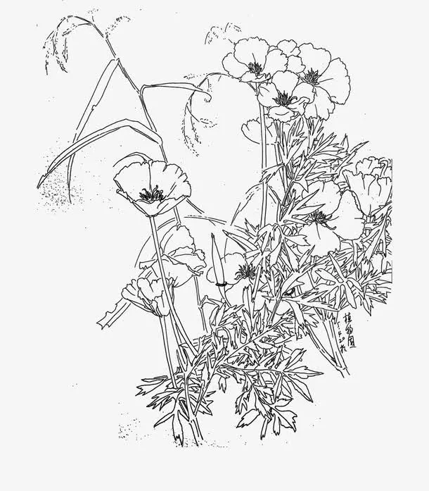 速写花草免抠