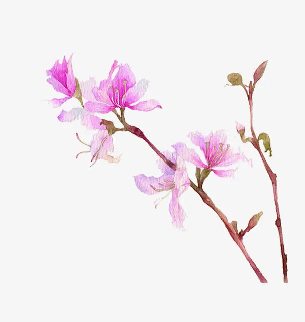 一支桃花免抠