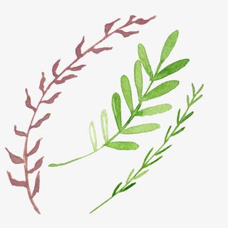 手绘水彩植物叶子图案素材免抠