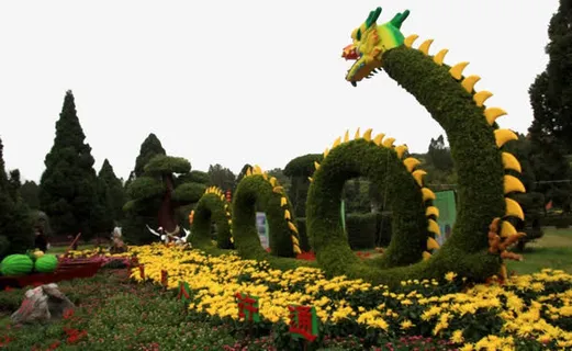 草坪拼出的龙造型免抠 草坪拼出的龙造型免抠