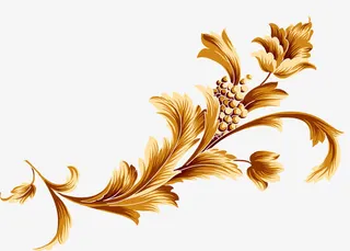 金色 花纹 花边 花朵 树叶免抠