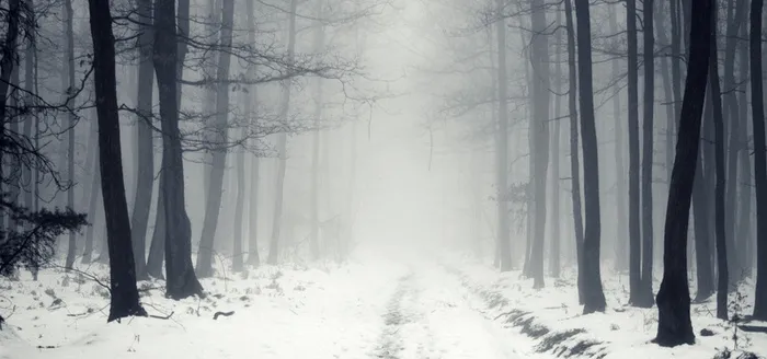 雪景风景背景促销banner高清