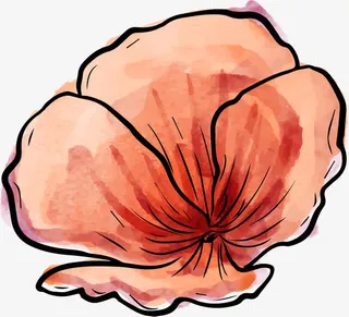 手绘水彩花卉免抠