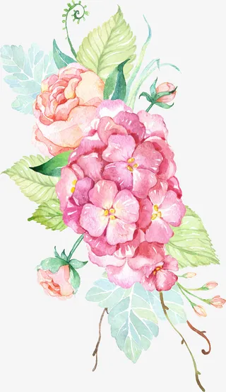 春天，花，手绘，红花绿叶免抠装饰植物元素