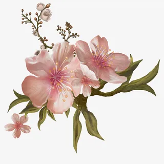 中国风工笔画彩绘栀子花艺术画免抠