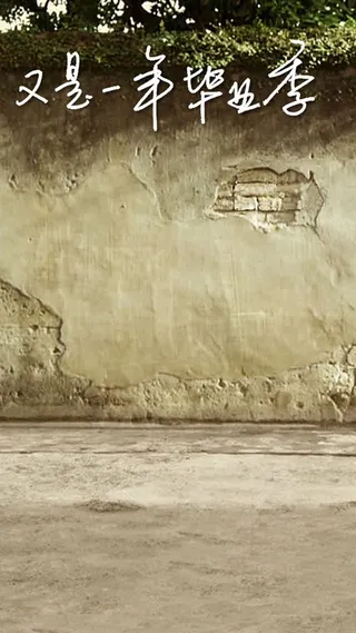 斑驳墙面H5背景高清