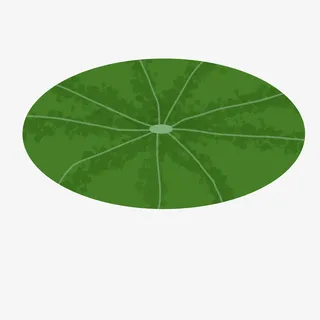 一片漂浮水面的荷叶PNG下载免抠