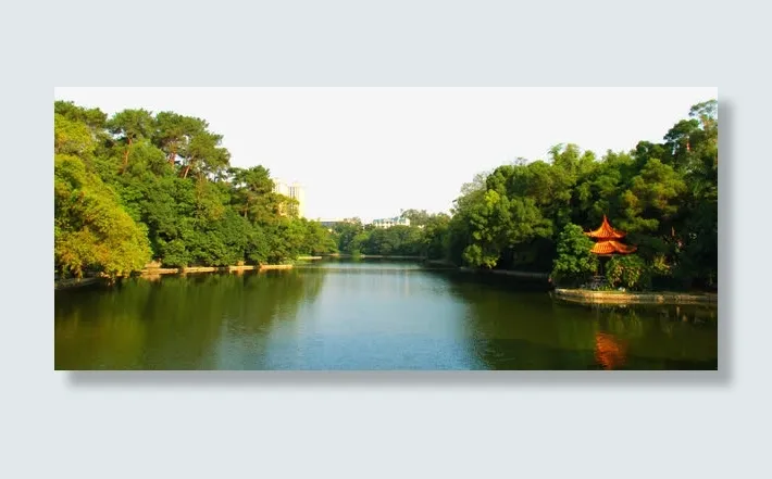 春天绿色树林大海免抠