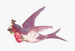 小鸟免抠
