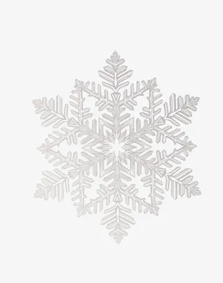 雪花纹理一片白色雪花免抠