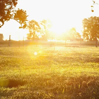 金秋主图背景高清