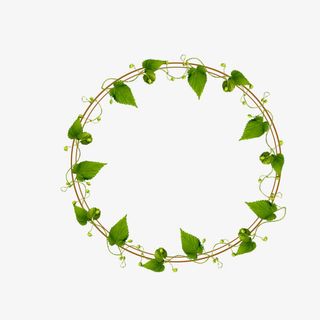 绿叶环绕圆形边框免抠