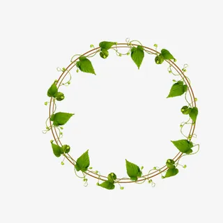 绿叶环绕圆形边框免抠