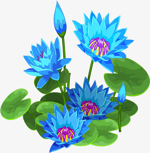 荷花免抠