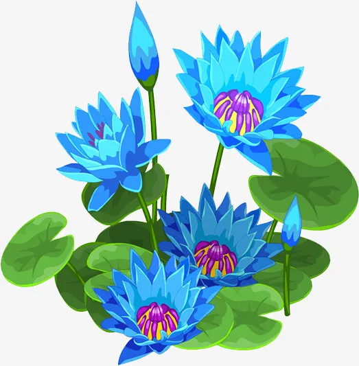 荷花免抠