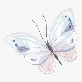 手绘彩蝶免抠 手绘彩蝶免抠