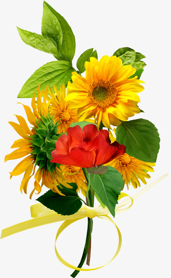 卡通装饰图片花草线描免抠