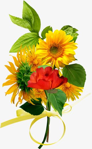 卡通装饰图片花草线描免抠