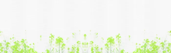 淘宝春天绿色布纹海报背景banner高清