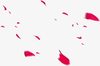 漂浮的红色花瓣免抠