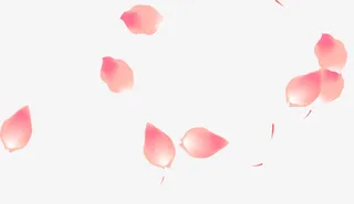 扁平创意合成效果红色的花瓣形状免抠