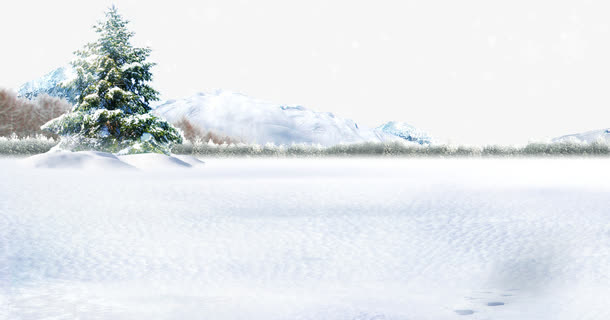 雪地上的柏树免抠