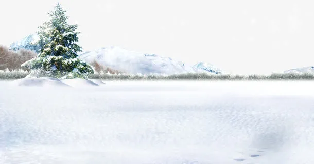 雪地上的柏树免抠