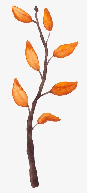 可爱小清新装饰海报装饰树枝免抠