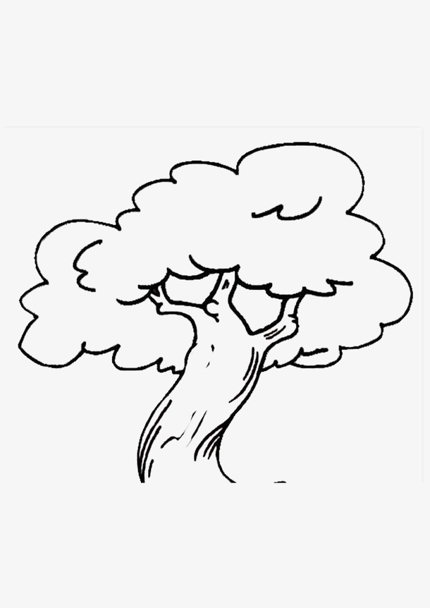 素描树木免抠