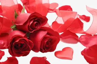 玫瑰花瓣免抠