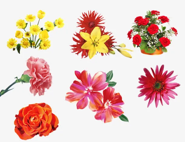 花免抠