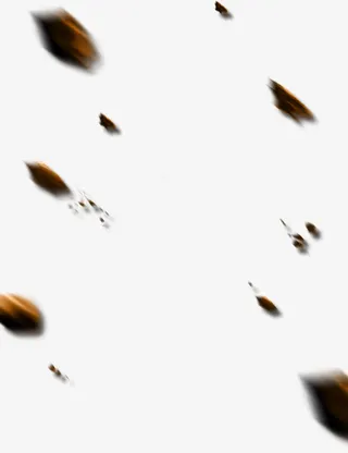 棕色虚化场景特效免抠