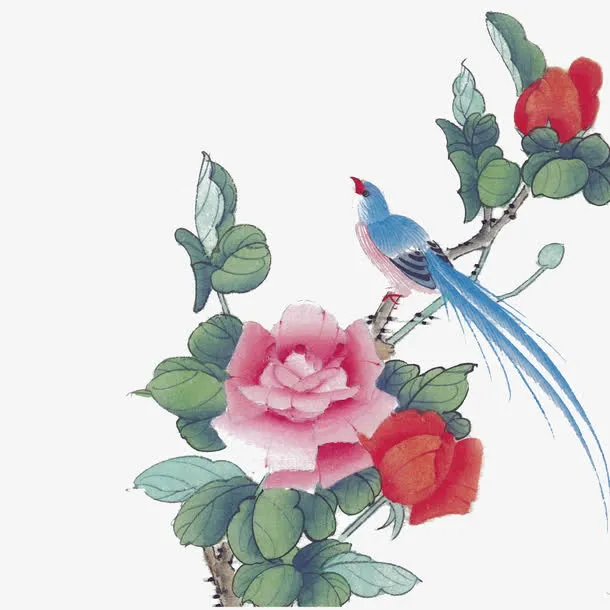 花鸟图免抠
