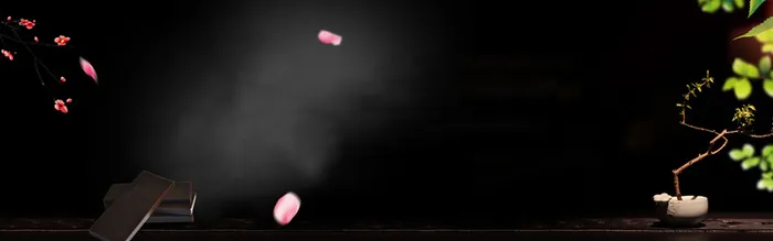 中式阿胶简约黑色花瓣banner高清