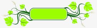树叶标题栏免抠