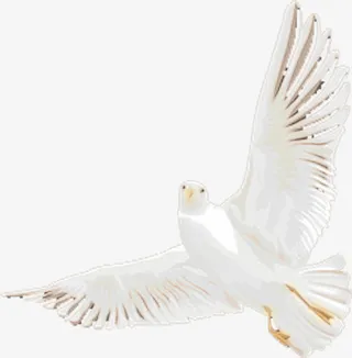 手绘剪纸白色和平鸽免抠